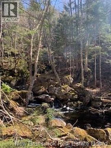 0 Town Plot Road, St. Martins, NB 