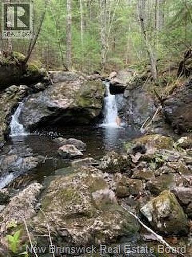 0 Town Plot Road, St. Martins, NB 