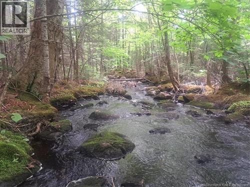 0 Town Plot Road, St. Martins, NB 