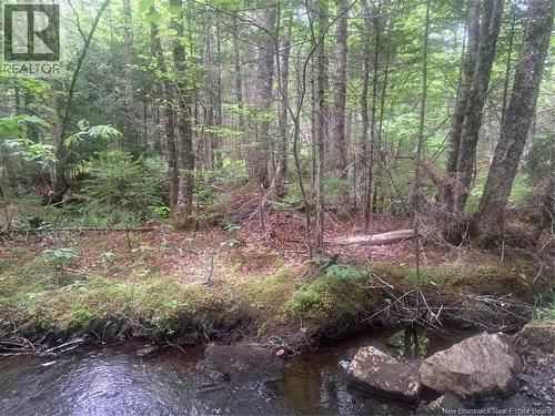0 Town Plot Road, St. Martins, NB 