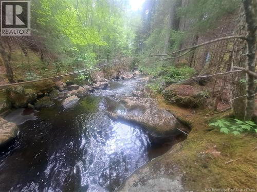 0 Town Plot Road, St. Martins, NB 