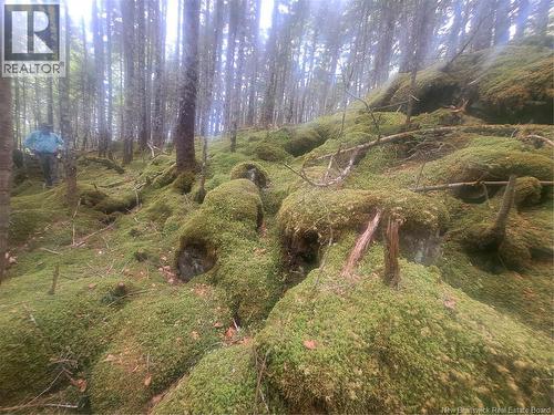 0 Town Plot Road, St. Martins, NB 