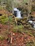 0 Town Plot Road, St. Martins, NB 