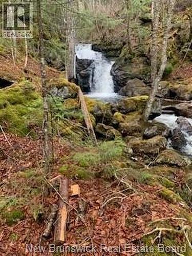 0 Town Plot Road, St. Martins, NB 