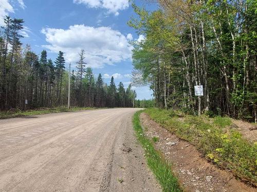Lot 14 Walkerville Rd, Walkerville, NS 
