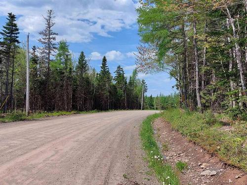 Lot 14 Walkerville Rd, Walkerville, NS 