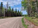 Lot 14 Walkerville Rd, Walkerville, NS 