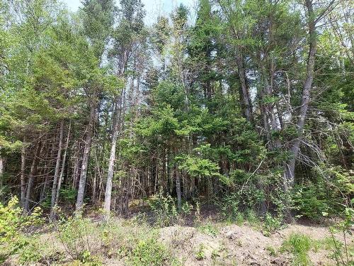 Lot 14 Walkerville Rd, Walkerville, NS 