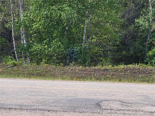 110076 Lakeshore Road, Alexander, MB 