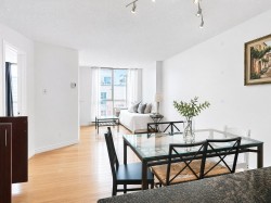 761-98 Rue Charlotte Montréal (Ville-Marie), QC H2X 3V2