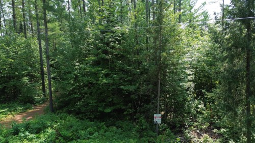 Terre/Terrain - Ch. De L'Opale, Notre-Dame-Du-Laus, QC 