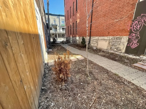Street - 3612 Av. Laval, Montréal (Le Plateau-Mont-Royal), QC 