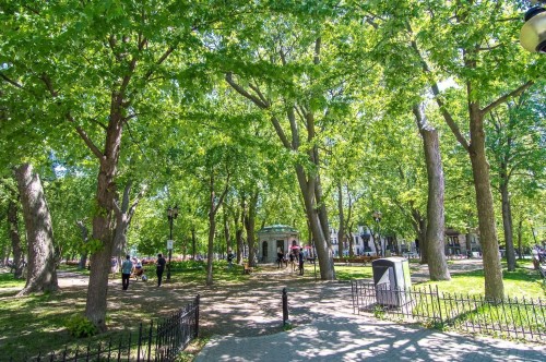 Nearby - 3612 Av. Laval, Montréal (Le Plateau-Mont-Royal), QC 