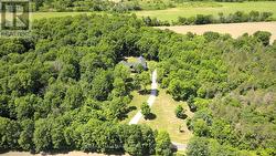 Aerial View - 