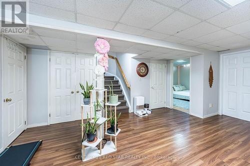 52 Newdale Place, Brampton, ON - Indoor Photo Showing Other Room