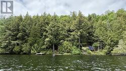 Privacy From the Water. - 