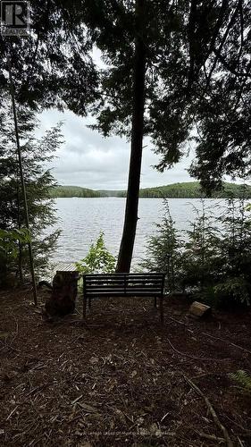 Sit Back and Enjoy the View. - 0 Island Lake Road, Kearney, ON 