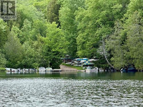 Public Boat Launch Closeby. - 0 Island Lake Road, Kearney, ON 