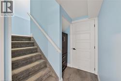 Carpeted staircase with a white handrail - 