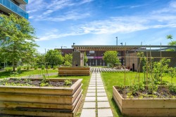 Garden - 
