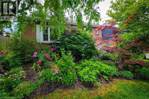73 West 1St Street, Hamilton, ON 