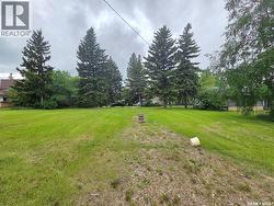 29 Newcombe STREET Manor, SK S0C 1R0