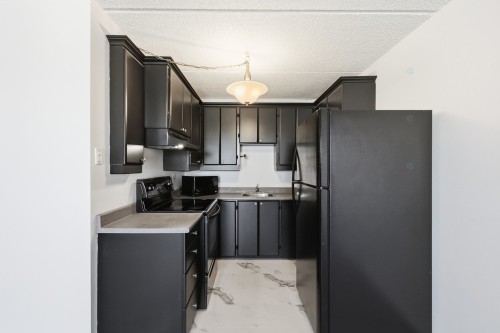 Kitchen - 407-450 Boul. Wilfrid-Lavigne, Gatineau (Aylmer), QC 