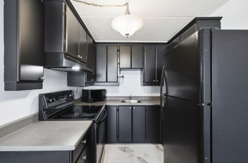Kitchen - 407-450 Boul. Wilfrid-Lavigne, Gatineau (Aylmer), QC 