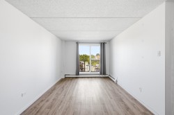 Salon - 