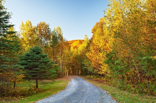 Autre - 285 Ch. Lowry, Sutton, QC 