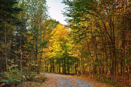 Autre - 285 Ch. Lowry, Sutton, QC 