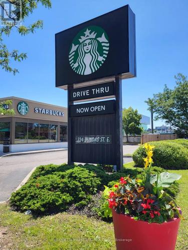334 Dundas Street E, Mississauga, ON 