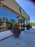 334 Dundas Street E, Mississauga, ON 