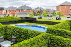 Garden - 