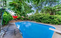 In-ground swimming pool with diving board, surrounded by concrete decking and mature perimeter landscaping - 