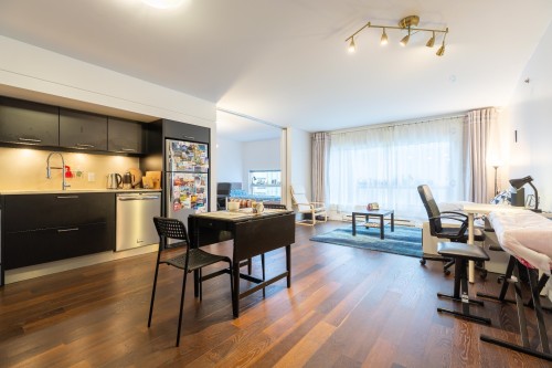 Overall view - 908-350 Boul. De Maisonneuve O., Montréal (Ville-Marie), QC 
