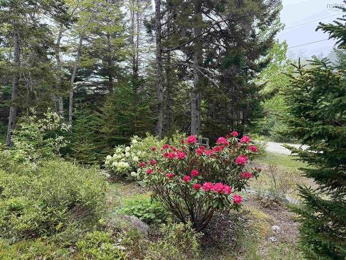 36 Saddle Island Road, Bayswater, NS 