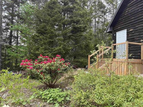 36 Saddle Island Road, Bayswater, NS 