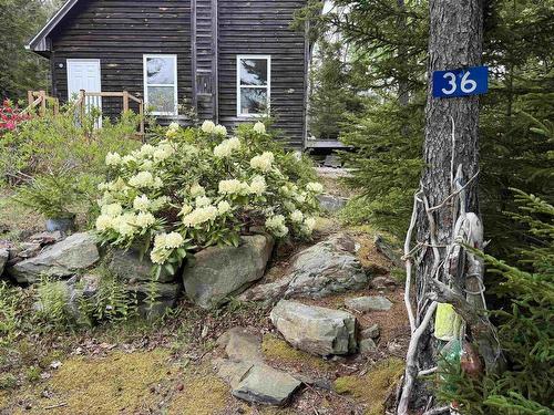 36 Saddle Island Road, Bayswater, NS 