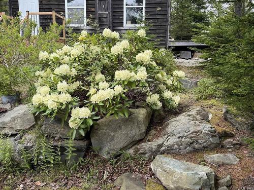 36 Saddle Island Road, Bayswater, NS 