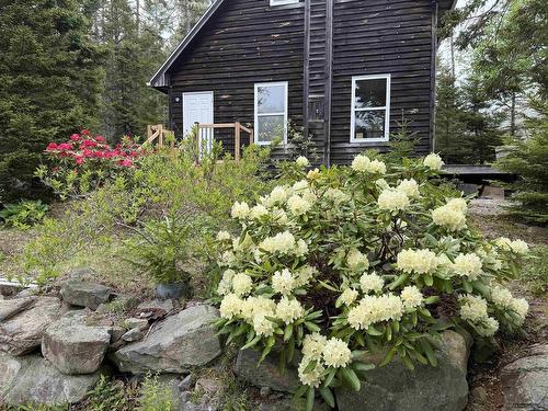 36 Saddle Island Road, Bayswater, NS 
