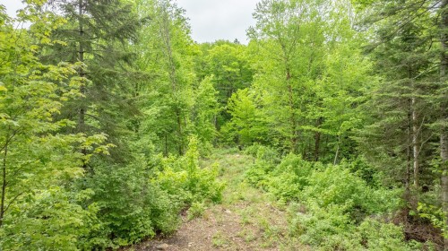 Lot - Ch. De La Pointe, Lantier, QC 