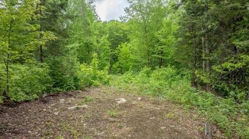 Lot - Ch. De La Pointe, Lantier, QC 