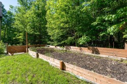 Garden - 