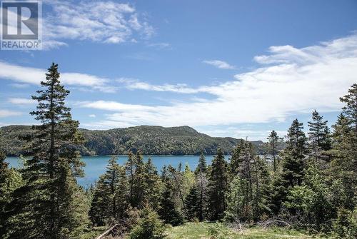 24 Cabot Lane, Jerseyside, NL 