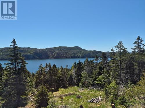 24 Cabot Lane, Jerseyside, NL 
