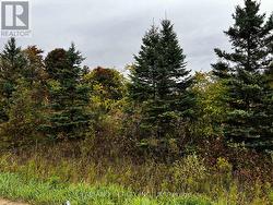 257 4TH LINE CONCESSION 4 SW LINE Melancthon, ON L9V 2C3