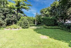 Backyard - 