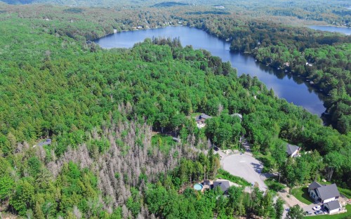 Terre/Terrain - 28 Rue Du Saturnie, Saint-Hippolyte, QC 