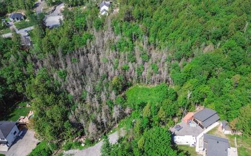 Terre/Terrain - 28 Rue Du Saturnie, Saint-Hippolyte, QC 